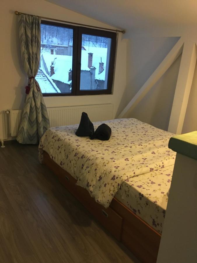 Fantasy Residence Brasov Bagian luar foto