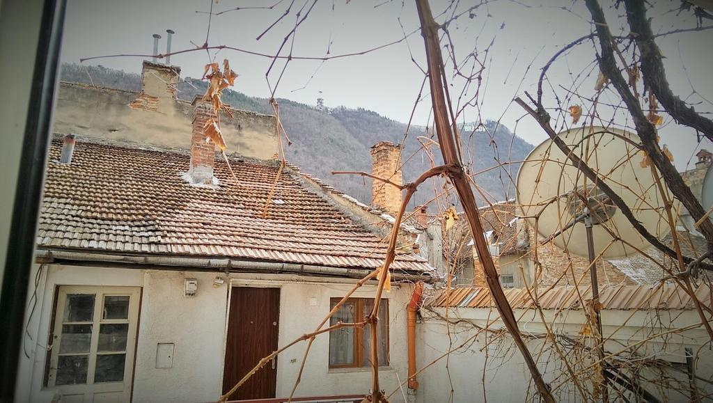 Fantasy Residence Brasov Bagian luar foto